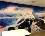 Telenor Bjerglandskab wallsticker