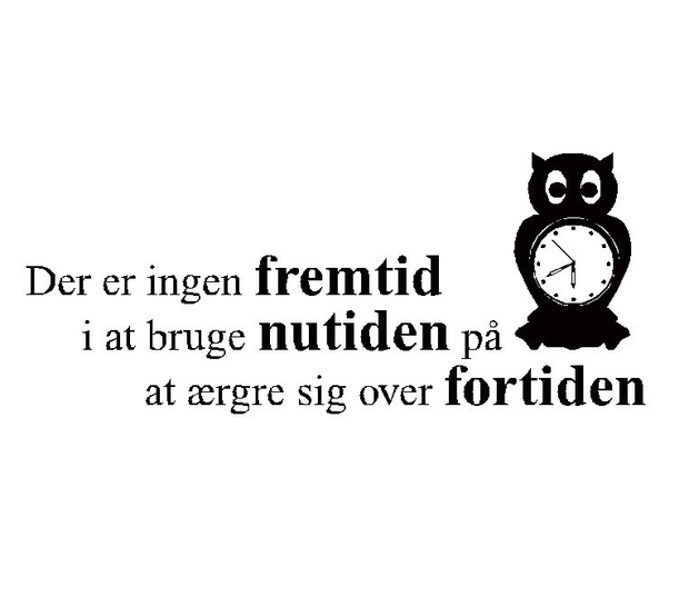 Wallsticker Ingen fremtid