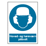 P100258